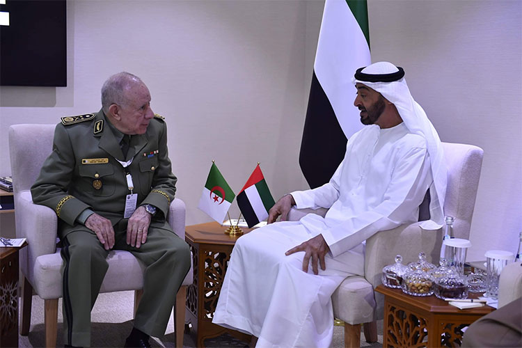 UAE Ready To Scale Up Cooperation With Algeria In All Fields Of Endeavor