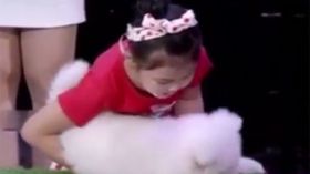 طفلة صينية تنوم مغناطيسيا 5 حيوانات في 5 دقائق