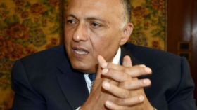 مصر تعلن دعمها لمبادرة الجزائر لوقف العدوان الاسرائيلي على غزة