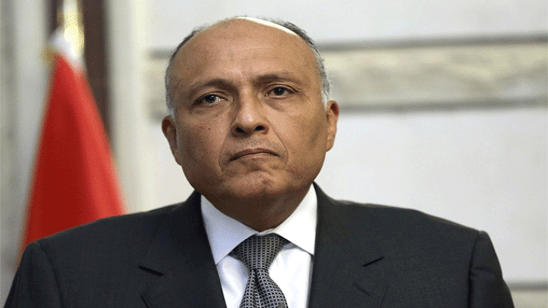 وزير الخارجية المصري يزور الجزائر