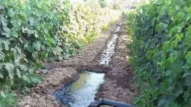 L’irrigation des légumes avec des eaux usées est-elle la principale cause du Choléra ?