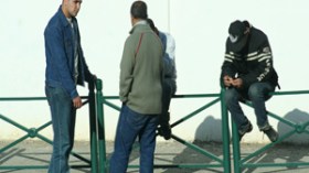 عقود إدماج للبطالين بأجرة 12 ألف دينار بداية من جانفي