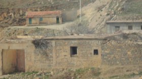 مدرسة تحولت إلى اسطبل للأبقار ومساكن تقطنها الأشباح