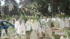 سكان لعوامر بعموشة يطالبون بإكرام موتاهم