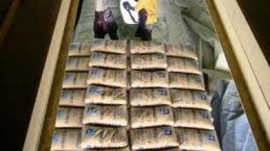 Saïda : détournement d’importantes quantités de ciment