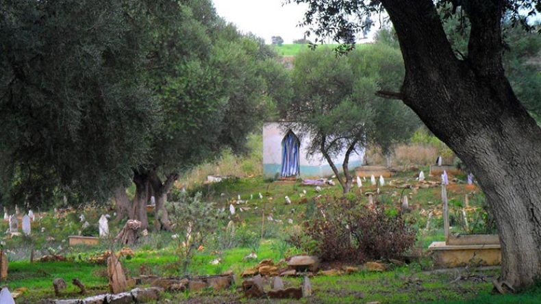 .. حتى زرتم المقابر (الحلقة 14)