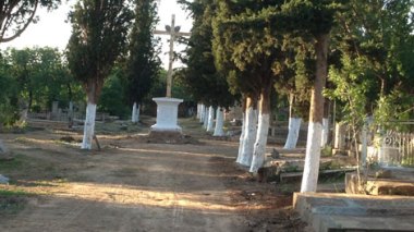 Maghnia: un demi-quintal de kif caché dans un cimetière