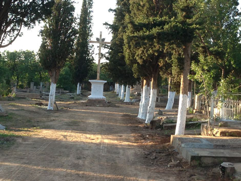 Maghnia: un demi-quintal de kif caché dans un cimetière