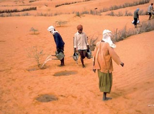 La baisse considérable de la pluviométrie à l’horizon 2014