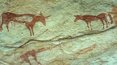 Plus de 950 pièces archéologiques récupérées en 2008