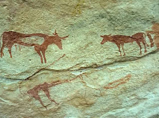 Plus de 950 pièces archéologiques récupérées en 2008