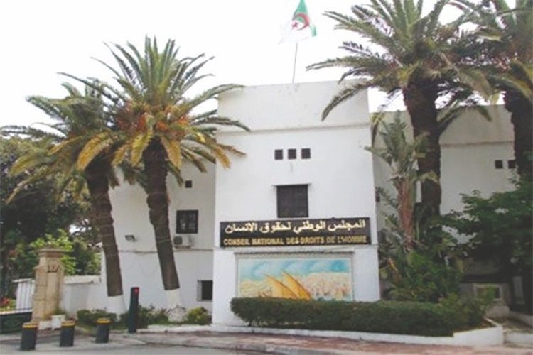 The National Council for Human Rights: “There Is No Absolute Freedom Of Speech”