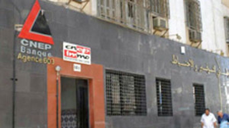 وزير الفلاحة ينفي حل الصندوق الوطني للتعاضدية الفلاحية-بنك