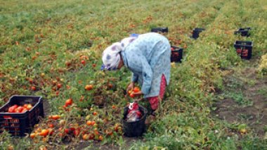 100 mille femmes d’affaires en Algérie