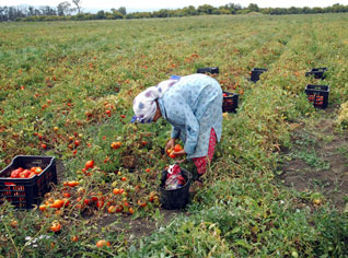 100 mille femmes d’affaires en Algérie