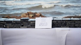 “تزطيل” بلا تمييز ولا مفاضلة!