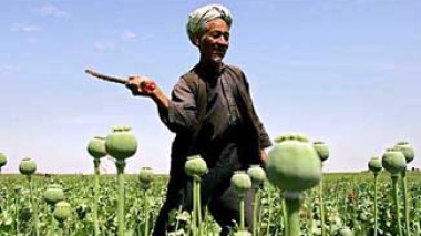 The UN says al-Qaeda plots to smuggle 80 tons of cocaine via the Sahel to Europe