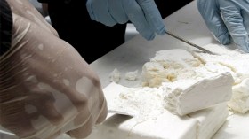 “بوشي” وشركاؤه متورطون في تهريب وتجارة الكوكايين بوهران