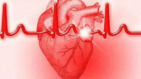 سهم البطالة يصيب القلب ويشل حركته