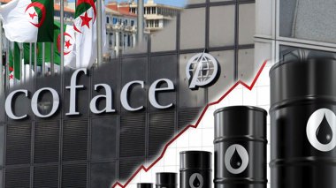 COFACE: Algeria’s Purchasing Power To Stabilize, Exchange Reserves To Erode In 2019