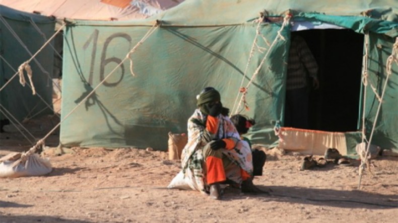 دعوة أممية لمراقبة حقوق الإنسان بالصحراء الغربية