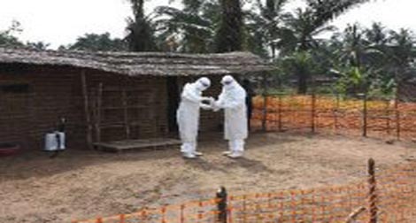 Identification d’un virus mortel en République démocratique du Congo