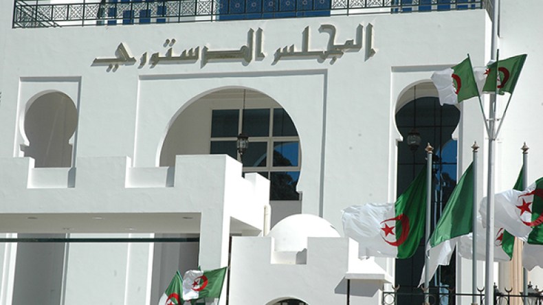 قاضية سابقة لتمثيل الغرفة السفلى للبرلمان في المجلس الدستوري