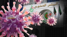 “كورونا” تؤجل انتخابات عضوية المجلس الدستوري بالبرلمان