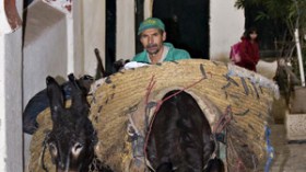 دفتر الشروط المعقد يحرم الحمير من الشغل والمدينة من النظافة