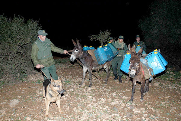 Moroccans ask for their right to smuggle, penetrate the Algerian borders