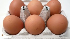 خسارة 600 مليون يوميا بسبب فائض في إنتاج البيض