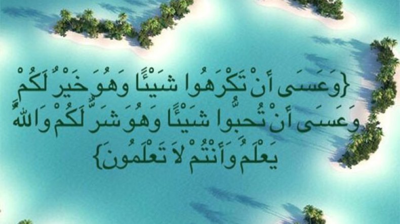 وعسى أن تكرهوا شيئا…