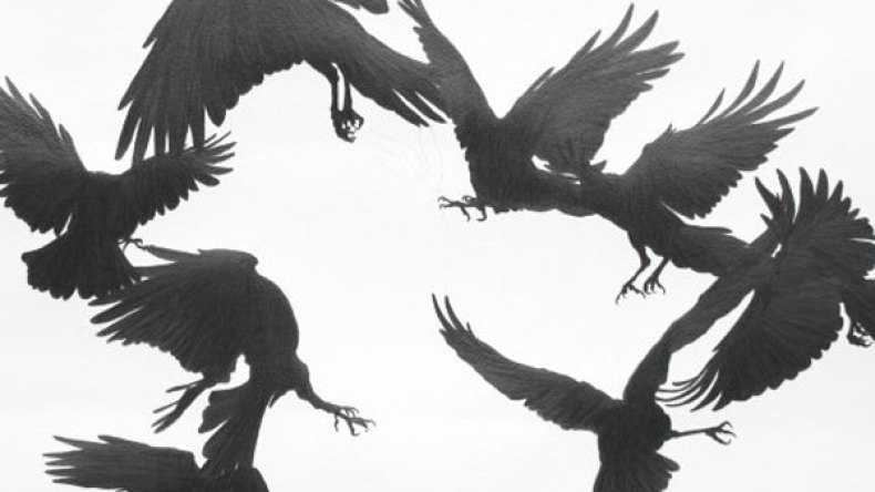 غربانُ الخراب تنعق على الجزائر!