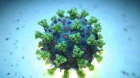 L’Allemagne craint l’apparition d’un variant du virus résistant aux vaccins