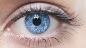 Algérie: Scandale d’importation de cornée des États-Unis