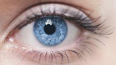 Algérie: Scandale d’importation de cornée des États-Unis