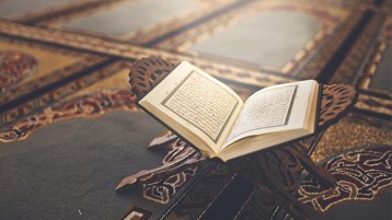 حريم السلطان!