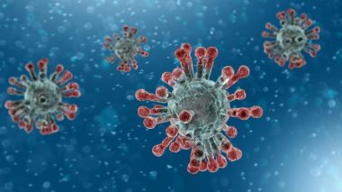 Le point faible du Covid-19 découvert par les chercheurs