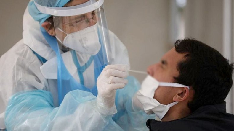 عودة المصابين بكورونا إلى العمل دون شهادة الشفاء