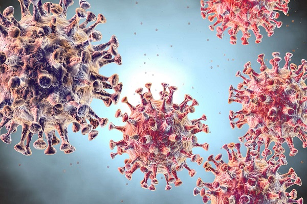 Voici comment renforcer son immunité face au Coronavirus