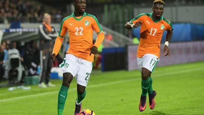 الفيلة يبحثون عن “ناخب” يُتقن لغة فولتير