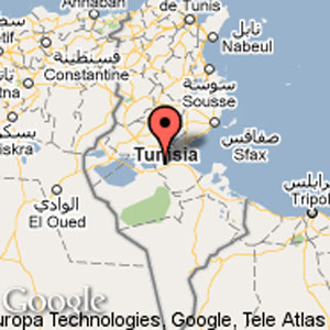 Plus de 220 migrants africains secourus par les gardes-côtes tunisiens