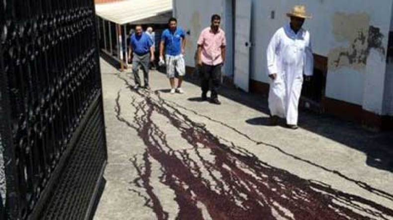 رؤوس خنازير على باب مسجد مونتبلان لاستفزاز المسلمين في فرنسا