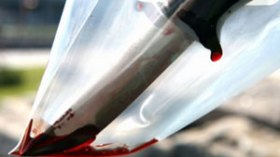 عروس تقتل زوجها السلفي بعد أيام من زفافهما بعد أن اتهمها بفقدان العذرية بخنشلة