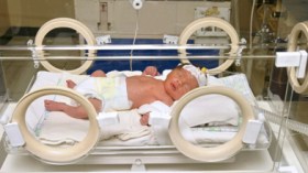 رضع للبيع بـ25 ألف دينار وأطفال للكراء بـ8 آلاف دينار أسبوعيا