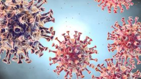 علم اجتماع كوفيد؟