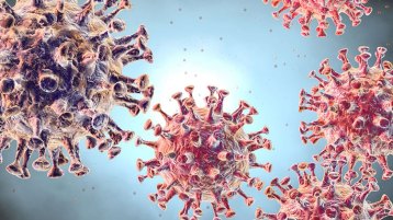 علم اجتماع كوفيد؟