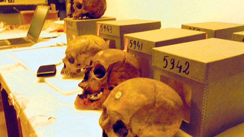 الجزائر تودع رسميا طلب استرجاع جماجم أبطال المقاومات الشعبية