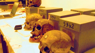 Parliamentary Questions Are Asked About Retrieving Skulls Of Algeria Martyrs From France