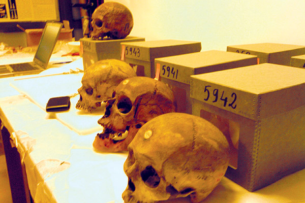 Parliamentary Questions Are Asked About Retrieving Skulls Of Algeria Martyrs From France